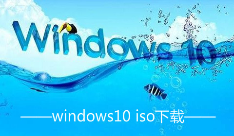 windows10 iso